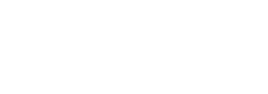 Fortizon Digital Solutions Logo